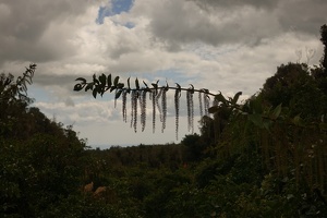 09887 branch