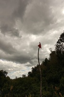 09889 trail marker v1