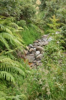 09899 streambed