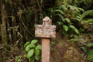09907 track