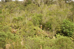 09924 track marker