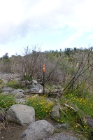 09940 marker pole