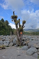 09951 riverbed v1