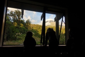 09976 looking out