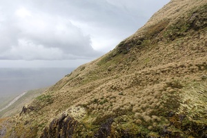 00045 tussock slope v1