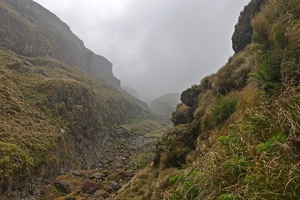 00047 low cloud v1