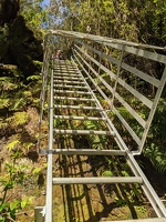 20230103 180930038 mp and the ladder