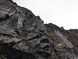 20230103 220714908 mossy cliffs from below