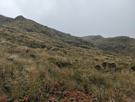 20230103 222530059 slopes in the wind.MP