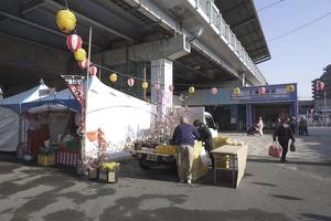 05011 miurakaigan station and vendors