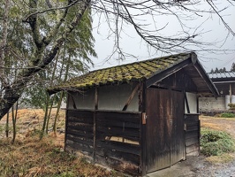 20230219 011436911 mossy shed