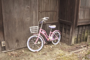 06025 smol pink bicycle v1
