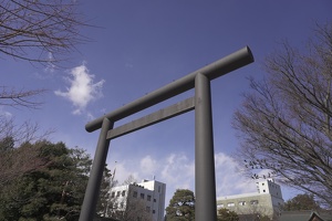 06258 metal torii