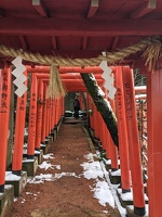 20230222 004431678 torii corridor