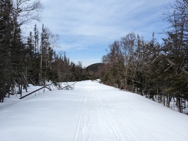 20230406 173644606 snowy road walking and fallen trees