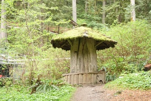 01066 mushroom like structure