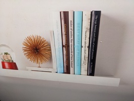20230525 003547807 more air nz fake book titles