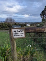 20230708 203335516 please do not feed the horses