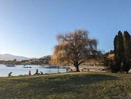 20230821 052320968 willow at wanaka
