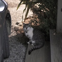 01351 holiday park cat v1
