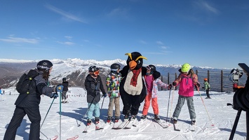20230822 011044261 skiing penguin v1