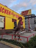 20230914 014525530 chicken on the way v1