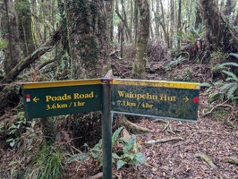 20231126 002238454 still 4hr to waiopehu hut