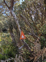 20231126 033848968 orange triangle trail marker