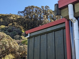 20231126 041031027 with swallow