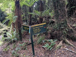 20231126 221458082 turnoff