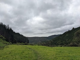 20231126 233038175 grassy