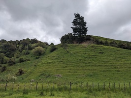 20231126 233045752 terraced