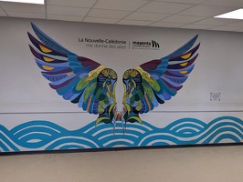 20231128 034222653 magenta la nouvelle caledonie me donne des ailes v1