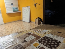 20231128 074951882 cat trying to get stuff