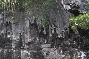 03376 more stalactites v1