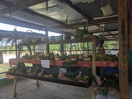 20231128 214912417 letchi etc