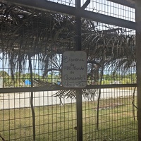 20231128 214918231 marche de gossanah v1