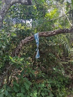 20231128 232743118 cloth