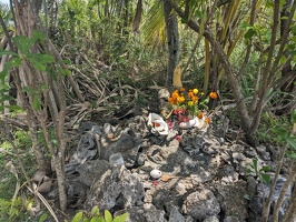 20231129 002954637 shrine