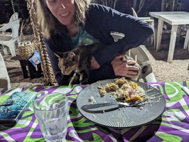 20231129 080923750 mp cat wrangling v1