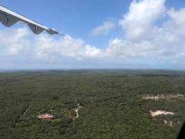 20231129 230453483 mostly forest v1