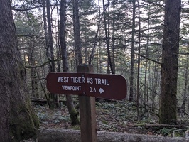 20231213 223639970 west tiger 3 trail