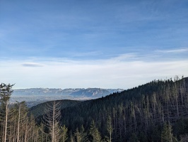 20231213 224549415 more trees and topography