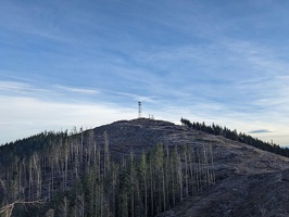 20231213 224636405 cell tower v1