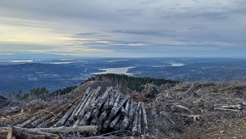 20231213 230216321 stacked logs v1