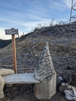 20231213 230223086 west tiger 2 with carved bench