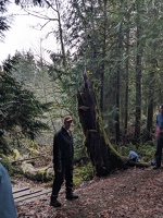 20231217 190052153 a scenario near the pond