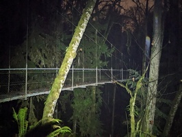 20231219 024806277 bridge.NIGHT