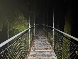 20231219 024827227 across the bridge.NIGHT v1