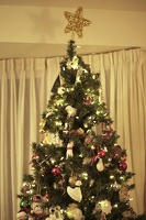04805 xmas tree v1